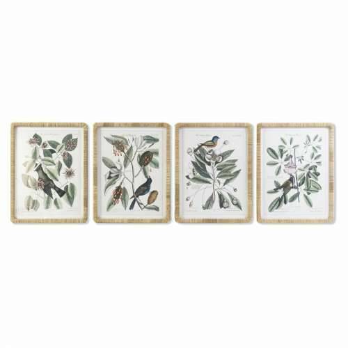 Slika DKD Home Decor 50 x 2,5 x 65 cm Shabby Chic Botaničke biljke (4 Dijelovi) Cijena
