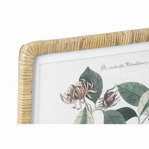 Slika DKD Home Decor 50 x 2,5 x 65 cm Shabby Chic Botaničke biljke (4 Dijelovi) Cijena