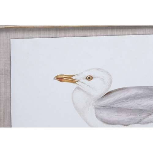 Slika DKD Home Decor 70 x 2,5 x 50 cm tradicionalan ptice (6 Dijelovi) Cijena