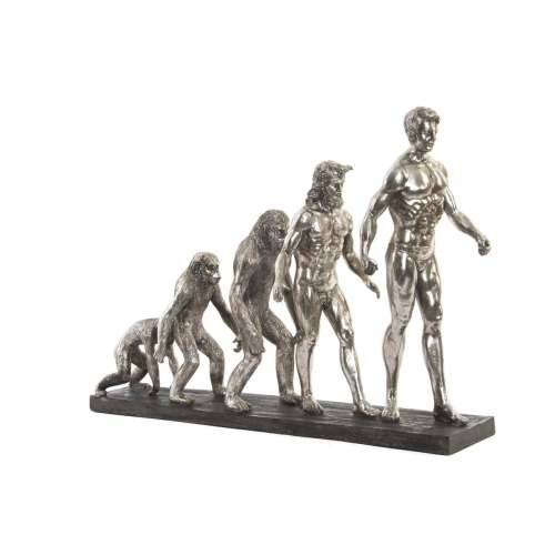 Ukrasna figura DKD Home Decor Origin of Species Srebrna kromirano 55 x 18 x 42 cm Cijena