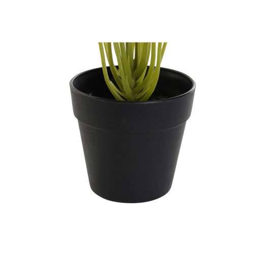 Ukrasna Biljka DKD Home Decor PVC polipropilen 25 x 25 x 30 cm Cijena