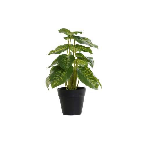 Ukrasna Biljka DKD Home Decor PVC polipropilen 20 x 20 x 30 cm Cijena