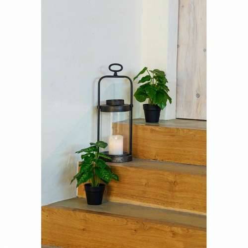 Ukrasna Biljka DKD Home Decor PVC polipropilen 20 x 20 x 30 cm Cijena