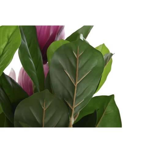 Ukrasna Biljka DKD Home Decor Roza Zelena PE (60 x 60 x 125 cm) Cijena