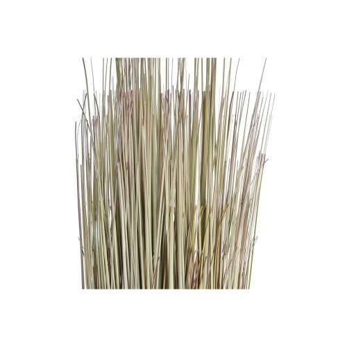 Ukrasna Biljka DKD Home Decor 25 x 25 x 68 cm Smeđa Polietilen Zelena (2 kom.) Cijena