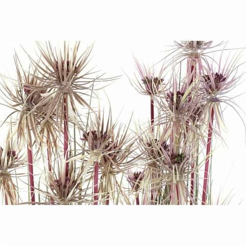 Ukrasna Biljka DKD Home Decor Smeđa Polietilen Zelena PVC 40 x 40 x 120 cm (2 kom.) Cijena