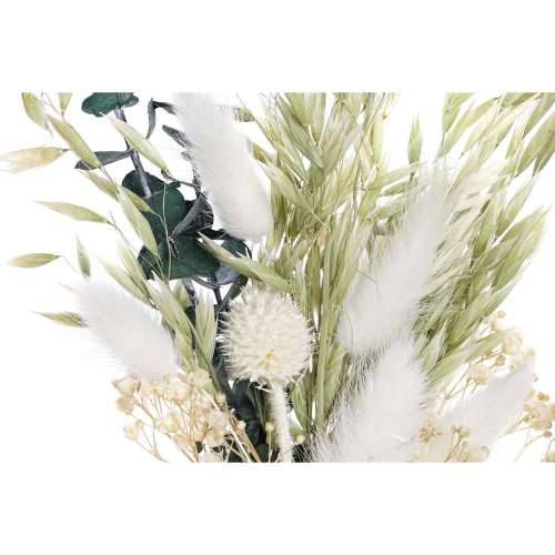 Ukrasni Cvijet DKD Home Decor Cijena