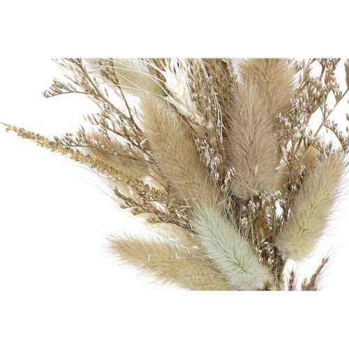 Ukrasni Cvijet DKD Home Decor Cijena