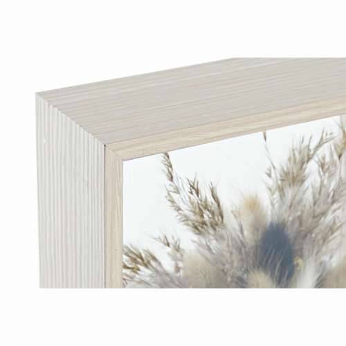 Ukrasni Cvijet DKD Home Decor Cijena