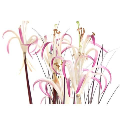 Ukrasna Biljka DKD Home Decor 45 x 45 x 140 cm Metal Oranžna Zelena Bordo PVC (2 kom.) Cijena