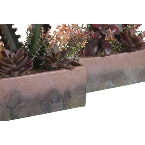Ukrasna Biljka DKD Home Decor 19 x 9 x 22 cm Roza Oranžna Kaktus EVA Guma polipropilen (2 kom.) Cijena