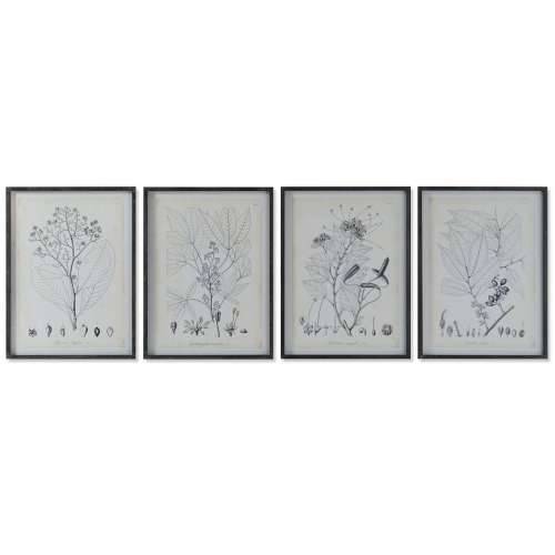 Slika DKD Home Decor moderan Botaničke biljke 45 x 2,5 x 60 cm (4 kom.) Cijena