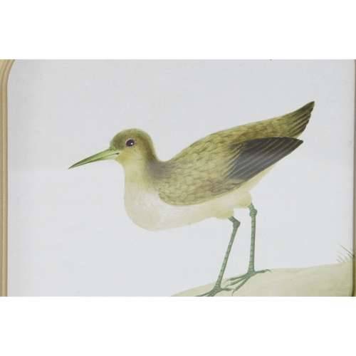 Slika DKD Home Decor ptice Cottage 30 x 2 x 30 cm (6 kom.) Cijena