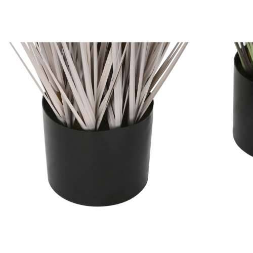 Ukrasna Biljka Home ESPRIT PVC Polietilen 35 x 35 x 120 cm (2 kom.) Cijena
