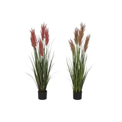 Ukrasna Biljka Home ESPRIT PVC Polietilen 35 x 35 x 120 cm (2 kom.) Cijena