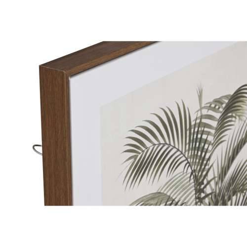Slika Home ESPRIT Dlanovi Kolonijalni 60 x 4 x 80 cm (2 kom.) Cijena