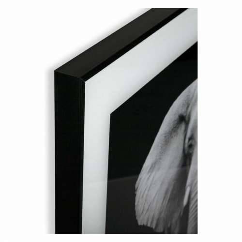 Slika Versa (2 x 50 x 50 cm) Cijena