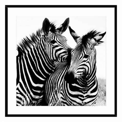 Slika Zebra Kristal (2 x 50 x 50 cm) Cijena
