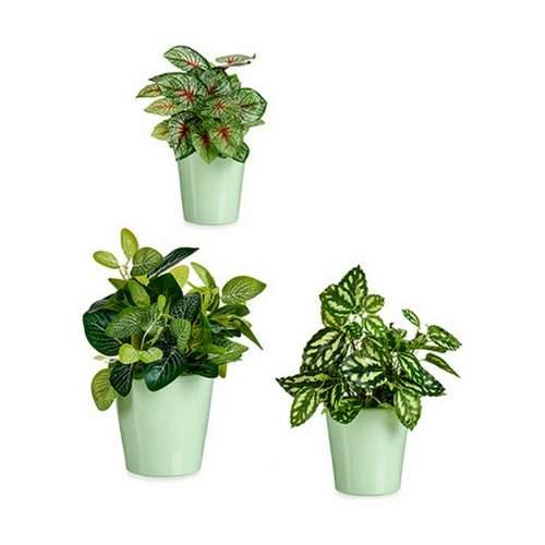 Set Tegli Ibergarden LINCE PQ - 6019 Zelena Glinu (6 kom.) Cijena