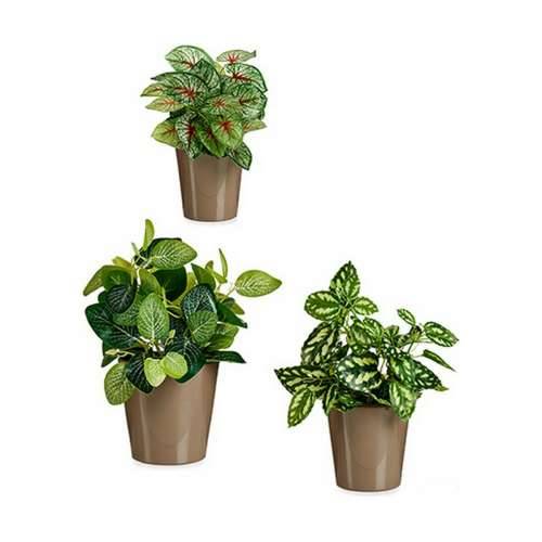 Set Tegli Ibergarden LINCE PQ - 7006 Taupe Boja Glinu (6 kom.) Cijena