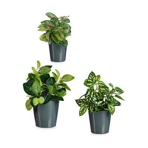 Set Tegli Ibergarden LINCE PQ - 7011 Antracitna Glinu (6 kom.) Cijena
