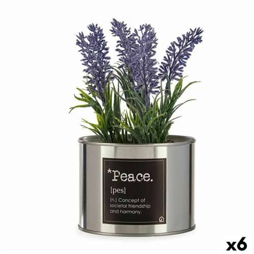 Ukrasna Biljka Ibergarden Metal Plastika Limenka Lavanda 10 x 18 x 10 cm (6 kom.) Cijena