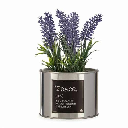 Ukrasna Biljka Ibergarden Metal Plastika Limenka Lavanda 10 x 18 x 10 cm (6 kom.) Cijena