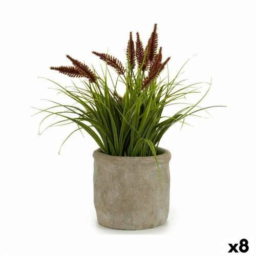 Ukrasna Biljka Ibergarden XD171059 Plastika klas 12 x 30 x 12 cm (8 kom.) Cijena