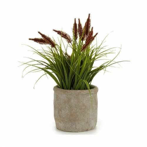 Ukrasna Biljka Ibergarden XD171059 Plastika klas 12 x 30 x 12 cm (8 kom.) Cijena