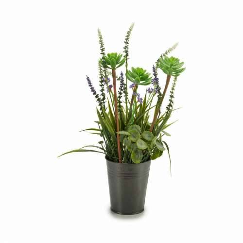 Ukrasna Biljka Ibergarden XD16-818 Metal Plastika Lavanda 13 x 40 x 13 cm (12 kom.) Cijena