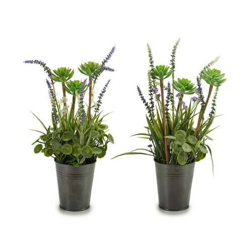 Ukrasna Biljka Ibergarden XD16-818 Metal Plastika Lavanda 13 x 40 x 13 cm (12 kom.) Cijena