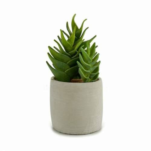 Ukrasna Biljka Ibergarden YCX17941 Plastika Sukulent 12 x 24 x 12 cm (6 kom.) Cijena