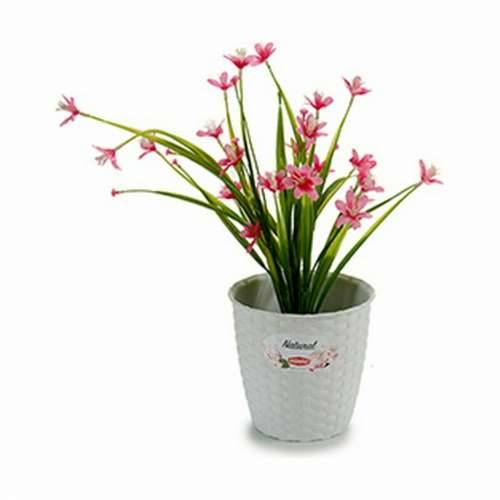 Tegla za biljke Stefanplast Bijela Plastika 14 x 13 x 14 cm (12 kom.) Cijena