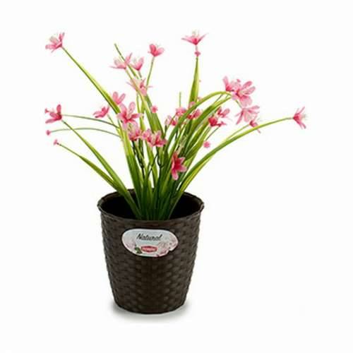 Tegla za biljke Stefanplast Plastika 14 x 13 x 14 cm (12 kom.) Cijena