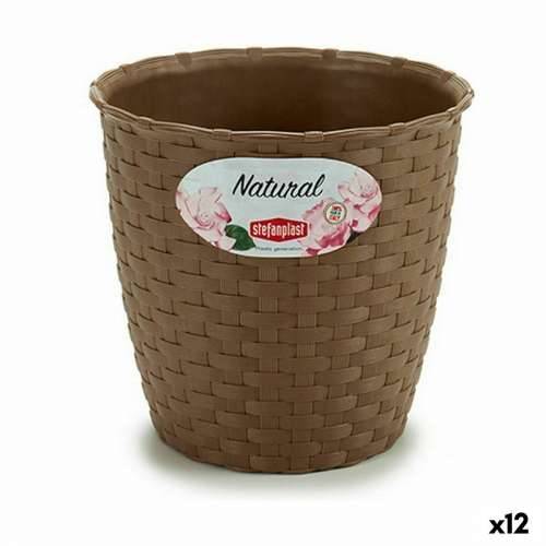Tegla za biljke Stefanplast Smeđa Plastika 14 x 13 x 14 cm (12 kom.) Cijena