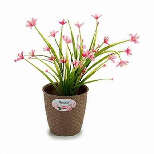 Tegla za biljke Stefanplast Smeđa Plastika 14 x 13 x 14 cm (12 kom.) Cijena