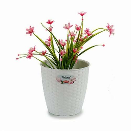 Tegla za biljke Stefanplast Bijela Plastika 19 x 17,5 x 19 cm (12 kom.) Cijena