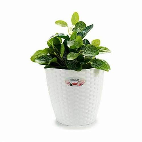 Tegla za biljke Stefanplast Bijela Plastika 24 x 22,5 x 24 cm (6 kom.) Cijena