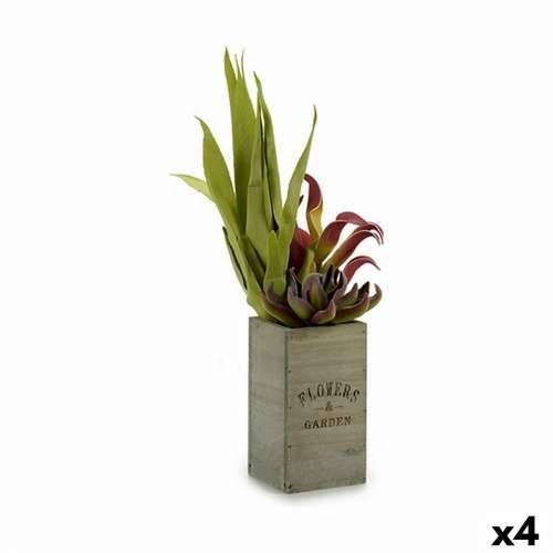 Ukrasna Biljka Ibergarden Flowers Garden 10 x 50 x 10 cm Smeđa Zelena (4 kom.) Cijena