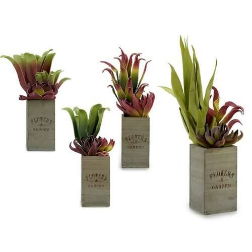 Ukrasna Biljka Ibergarden Flowers Garden 10 x 50 x 10 cm Smeđa Zelena (4 kom.) Cijena