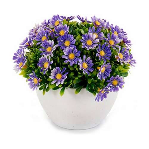 Ukrasna Biljka Ibergarden S17-L048 Plastika Margarita 14 x 13 x 14 cm (12 kom.) Cijena