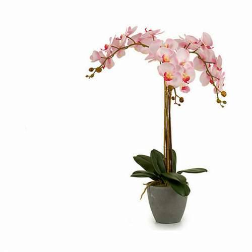 Ukrasna Biljka Ibergarden A18124-71-3 Plastika Orhideja 29 x 78 x 35 cm 60 x 78 x 44 cm (2 kom.) Cijena
