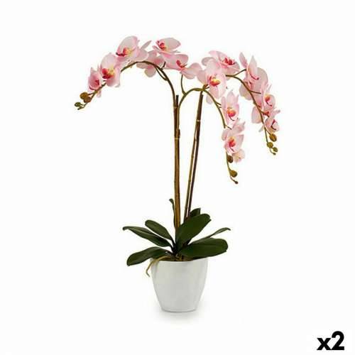 Ukrasna Biljka Ibergarden A18124-71-3WH Plastika Orhideja 40 x 77 x 35 cm (2 kom.) Cijena