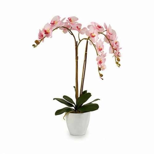Ukrasna Biljka Ibergarden A18124-71-3WH Plastika Orhideja 40 x 77 x 35 cm (2 kom.) Cijena