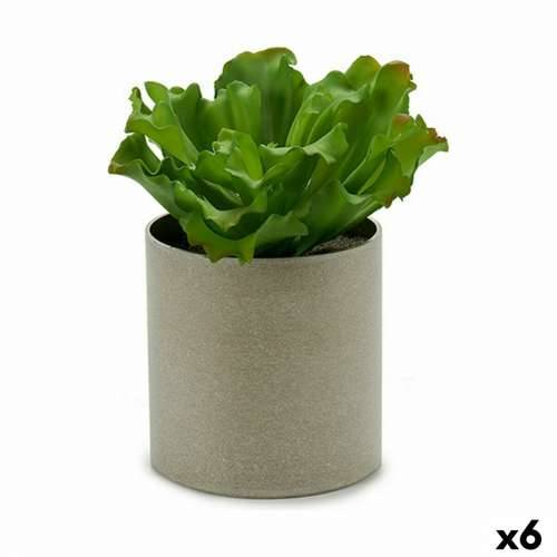 Ukrasna Biljka Ibergarden YC181588 20 x 25 x 20 cm (6 kom.) Cijena