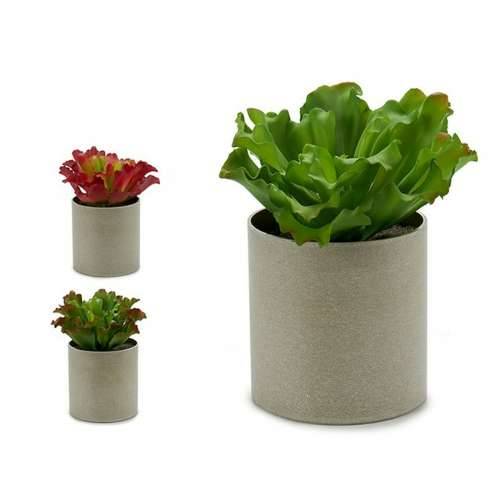 Ukrasna Biljka Ibergarden YC181588 20 x 25 x 20 cm (6 kom.) Cijena