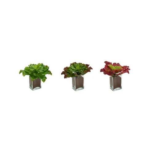 Ukrasna Biljka Ibergarden YD180208 Plastika Listovi Dugo 31 x 24 x 31 cm Dvobojan (6 kom.) Cijena