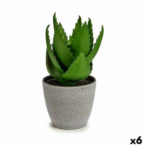 Ukrasna Biljka Ibergarden YC184573 Plastika Aloe verom 15 x 23,5 x 15 cm (6 kom.) Cijena