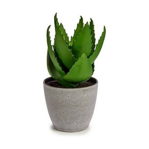 Ukrasna Biljka Ibergarden YC184573 Plastika Aloe verom 15 x 23,5 x 15 cm (6 kom.) Cijena