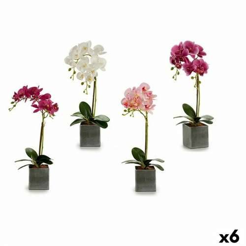 Ukrasni Cvijet Ibergarden A18124-50-2 Orhideja 14 x 51 x 18 cm (6 kom.) Cijena